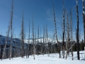 010307_031_Albert.JPG