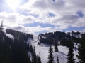 100305_016_Ewald.JPG