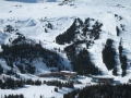 100305_017_Ewald.JPG
