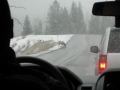 100308_001_AnkeRonny.JPG