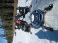 100310_015_AnkeRonny_1.JPG