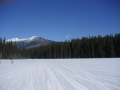 100310_021_AnkeRonny_1.JPG