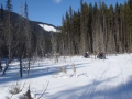 100310_023_AnkeRonny_1.JPG