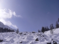 100311_006.JPG