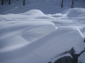 100311_012.JPG